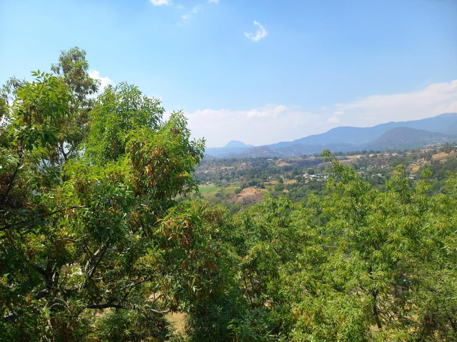 Solache Inn Zitácuaro Værelse billede